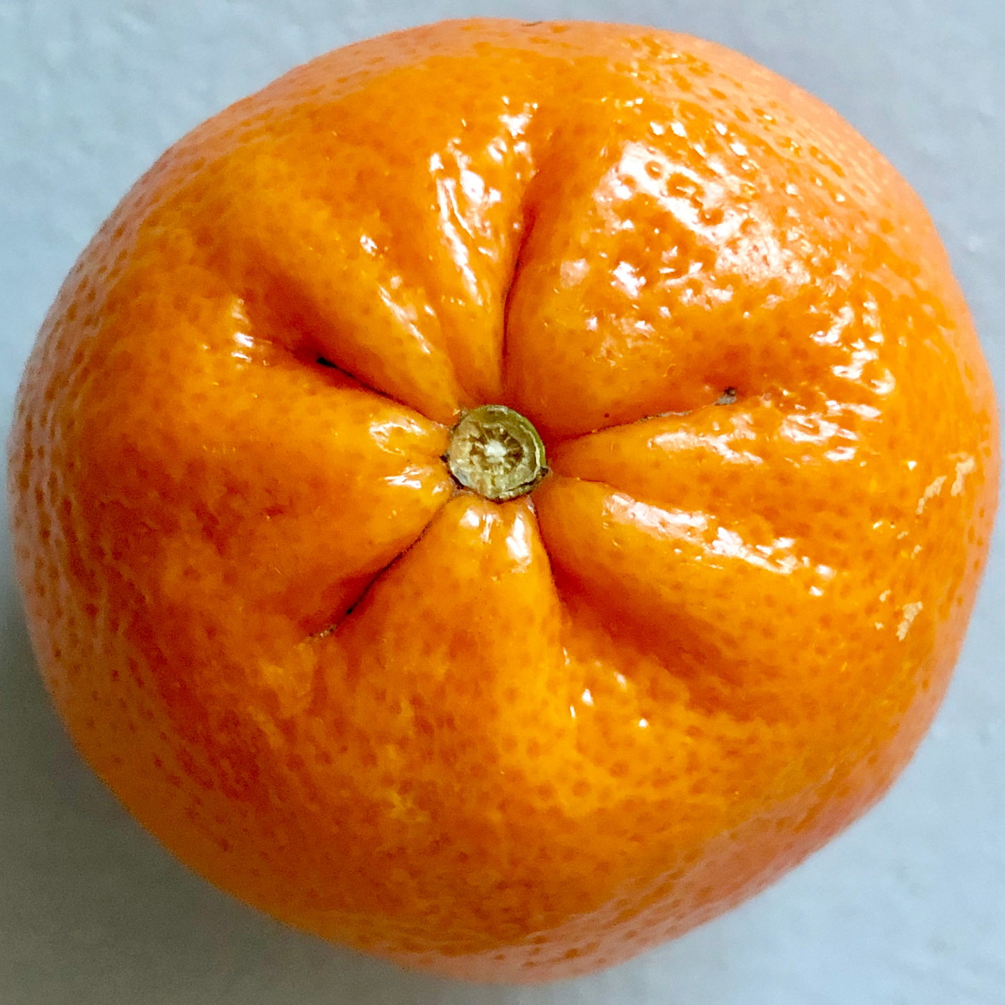 Cold-Pressed Clementine EO