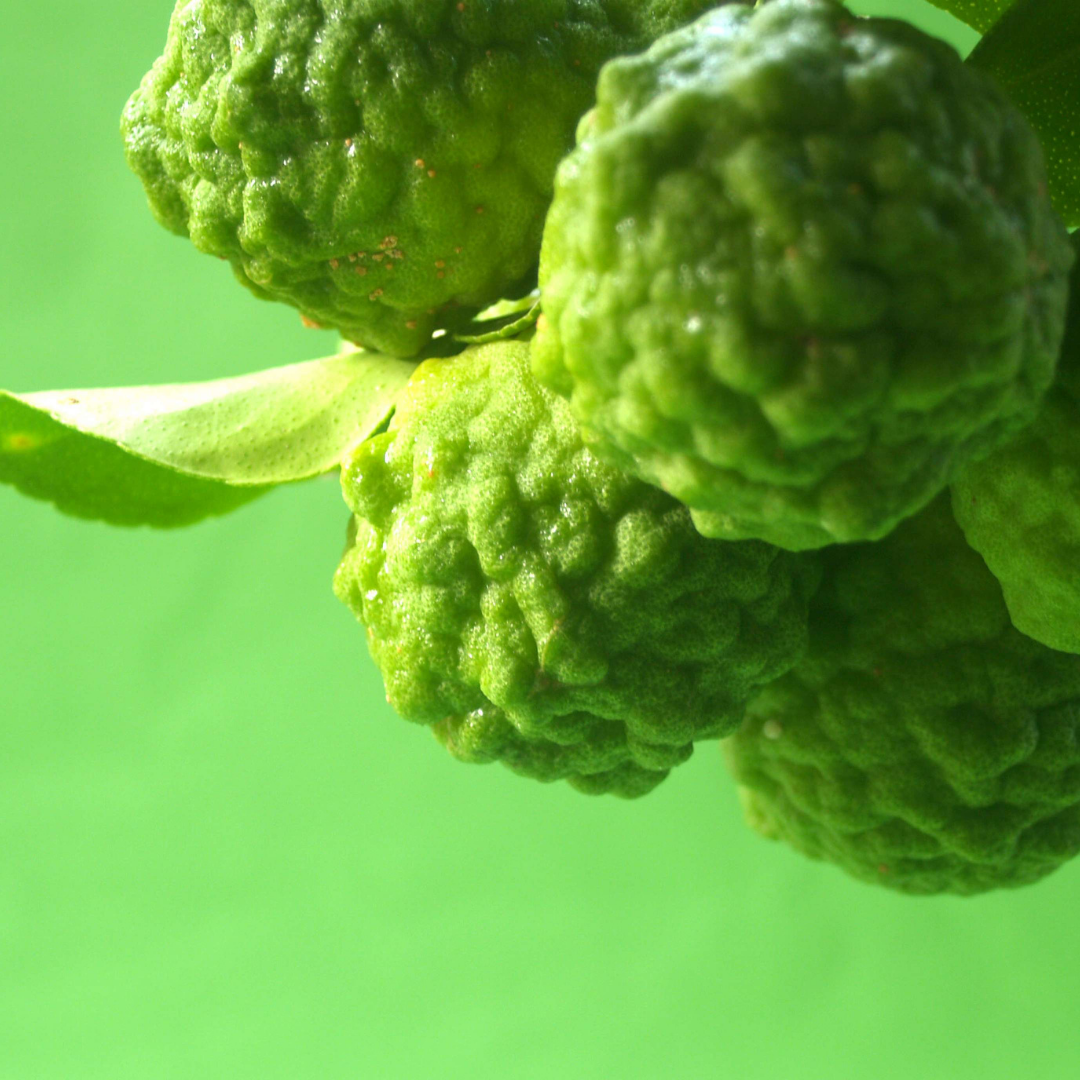 Bergamot, calabrian BF