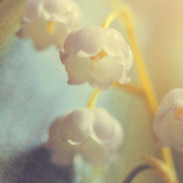 Florol