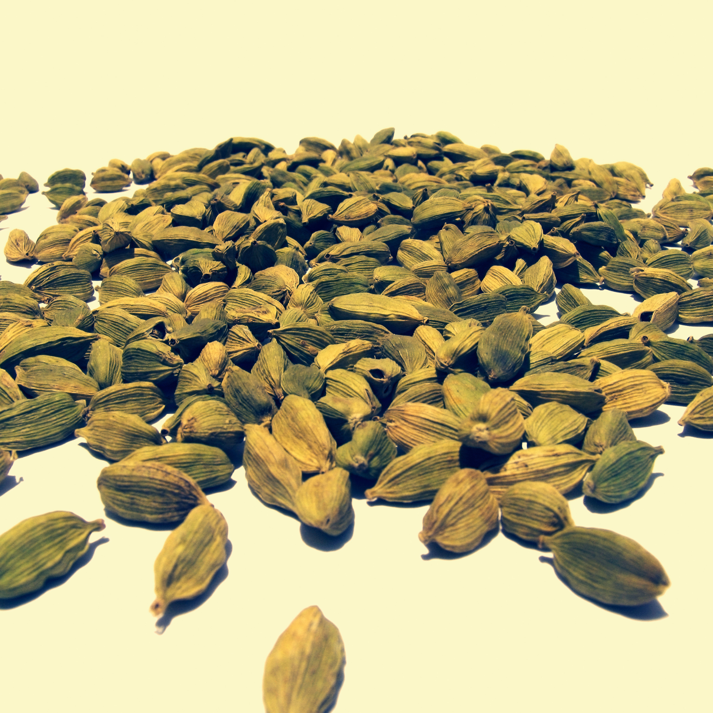 Cardamom SFE, India