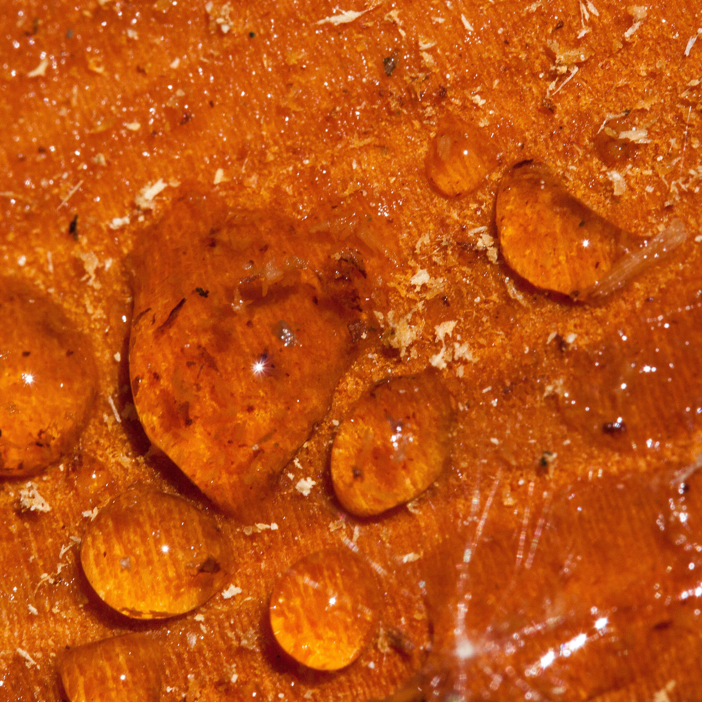 Cinnamic Acid